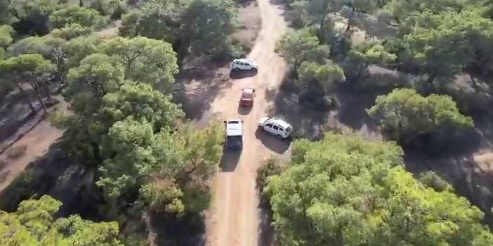 Kaçtığı ormanlık alanda dronla izlendiğini fark etmeyen firari, karşısında jandarmayı görünce şok oldu!