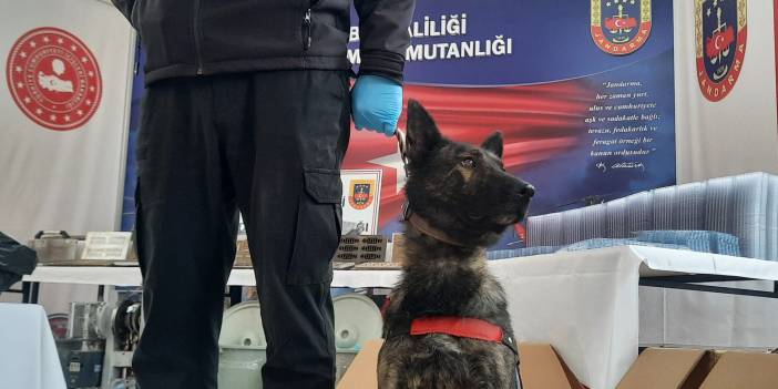 Son zamanların en büyük operasyonu! İstanbul'da zehir tacirlerine 250 milyon liralık darbe!
