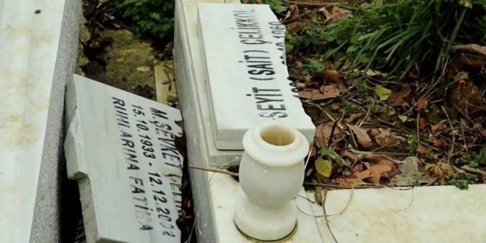 Vatandaşlar durumdan şikayetçi! İBB’nin ağaç budama çalışmaları yarım kaldı, mezarlar zarar gördü