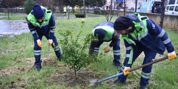 Pendik Belediyesi kolları sıvadı! İlçe genelinde “Toplu Çalışma Programı” başlattı