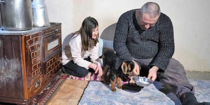 Muş'ta 3 ayaklı doğan oğlak, sahibinin maskotu oldu!