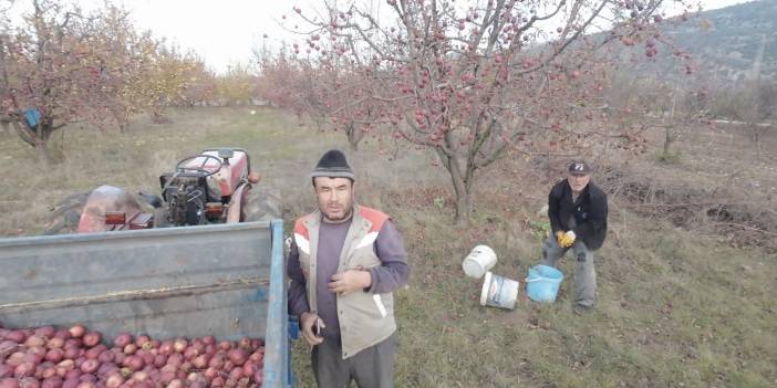 Tarlada dron gören masum çifçi, izleyenleri gülmekten kırdı geçirdi!