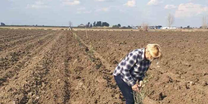 Kadın çiftçinin haraç isyanı! "Üretim yapamıyorum"