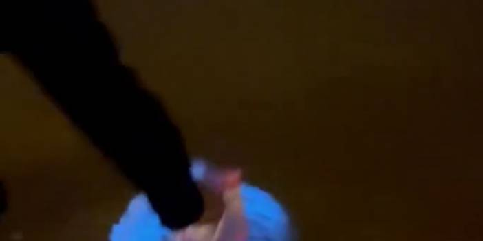 Marmara Denizi'nde alg patlaması! Suya dokunanlar şaşkına döndü!