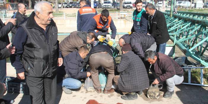 Konya’da ilginç görüntüler! Kanala düşen balıkları toplamak için vatandaşlar suya atladı!