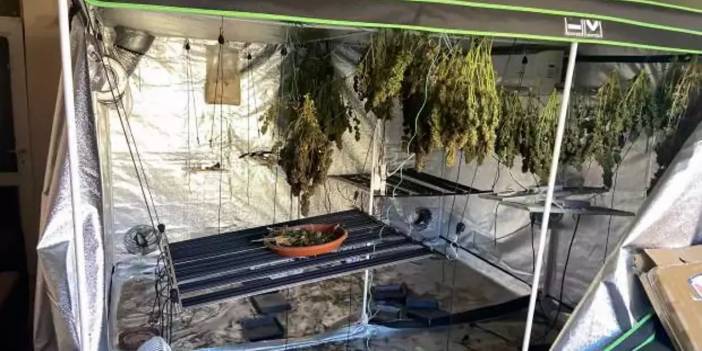 Adana'da akıl almaz olay: Yangın ihbarına gittiler, uyuşturucu serası ile karşılaştılar!