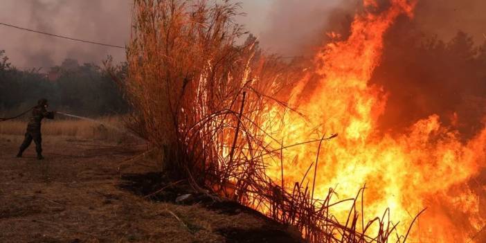 Yunanistan orman yangınlarına teslim oldu! İlk yardıma koşan Türkiye oldu