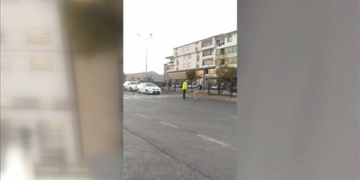 Bingöl'de Trafik polis'inin merhameti: Yolun karşısına geçmeye çalışan köpek için trafiği durdurdu