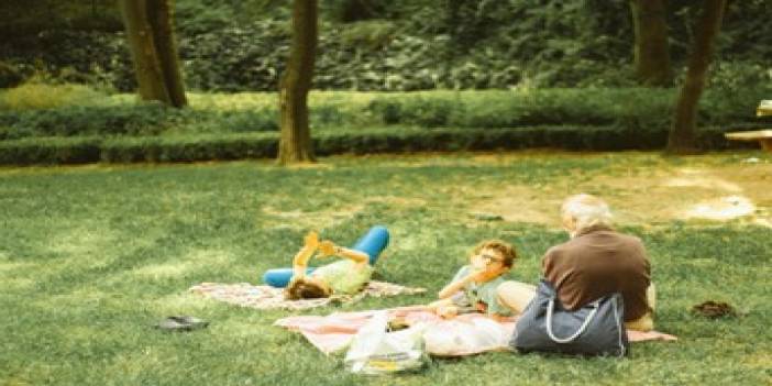 İstanbul Piknik Alanları
