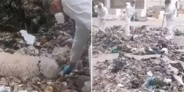 Akıllara durgunluk veren olay: Yeni doğan bebeğini parçalara ayırıp çöpe attı!