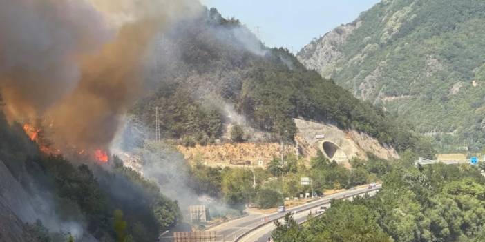 Son dakika! Sakarya'da orman yangını: D-650 karayolu Bilecik-Adapazarı istikameti ulaşıma kapatıldı!