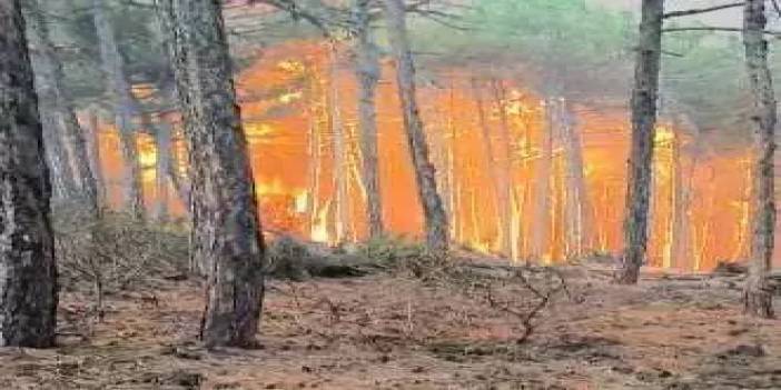 Cehennem çemberinden çıkamadılar: Orman yangınında şehit olan 10 kahramanın isimleri belli oldu