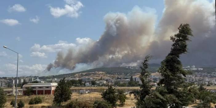 Çanakkale'de orman yangını başladı: Boğaz trafiğe kapatıldı!