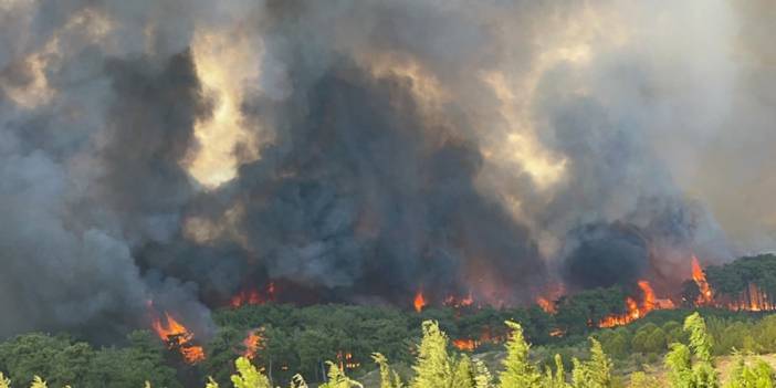 Son dakika! 5 ilimiz alev aldı: Ormanlarımız yine cayır cayır yanıyor!