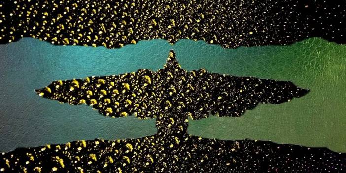 Kişilik testi: İlk gördüğünü söyle hafıza yapını ölç! İlk gördüğün timsah mı, kartal mı?