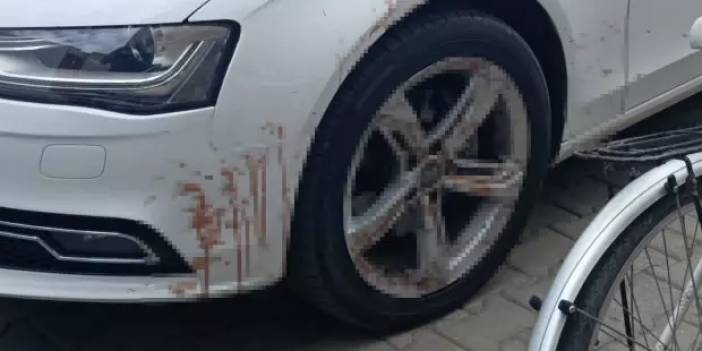 Araç tekerindeki kanı gören polis harekete geçti: Ortaya çıkan gerçek şaşkınlık yarattı!