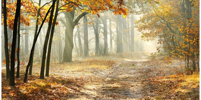 Hava sıcaklıkları artıyor mu? Bugün hava nasıl, salı günü hava nasıl olacak?