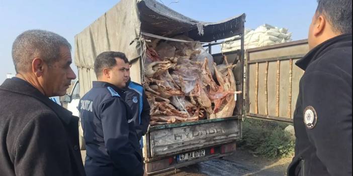 Zabıtalar bile gördüklerine inanamadı! Yakalanmasalardı 1 ton 900 kilo bozulmuş eti vatandaşa yedireceklerdi