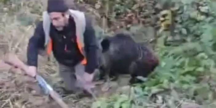 Avcı yakalamak istediği avı tarafından hastanelik edildi!