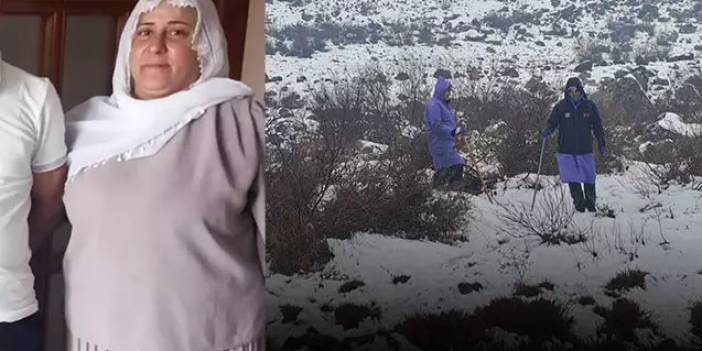 Yer yarıldı içine girdi: Diyarbakır'da kaybolan Nimet'ten 8 gündür haber alınamıyor!