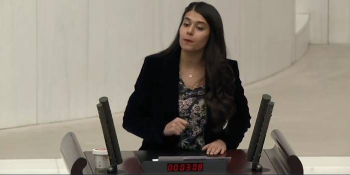 DEM'li vekil ''Kürtlere Kürt oldukları için trafik cezası kesiliyor'' dedi: Hem meclisi hem sosyal medyayı ayağa kaldırdı!