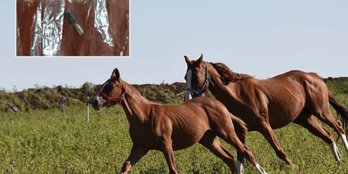 Belediye aşevinin dağıttığı kavurmanın içinden yarış atı çipi çıktı!