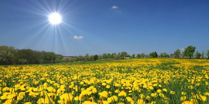 Güneş kendini gösteriyor! Meteoroloji açıkladı: Hafta sonu hava nasıl, bugün hava nasıl, cumartesi hava nasıl olacak?