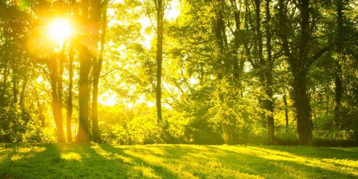 Meteoroloji son tahminlerini açıkladı: Bugün hava nasıl, Pazartesi hava nasıl olacak?