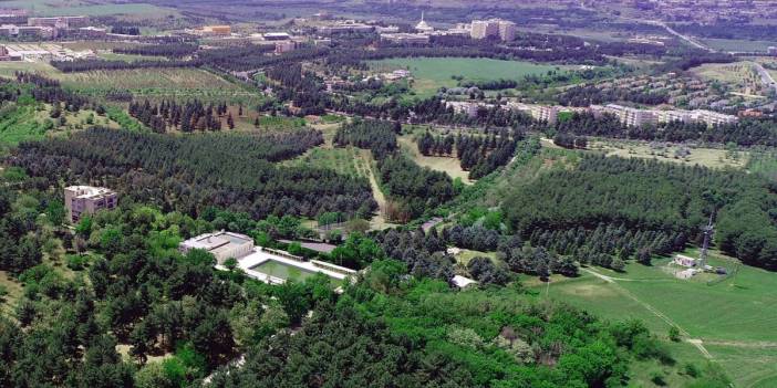 Dicle Üniversitesi'nin kampüsünde resmen petrol fışkırdı: Bölgede 6 sondaj kuyusu açılacak