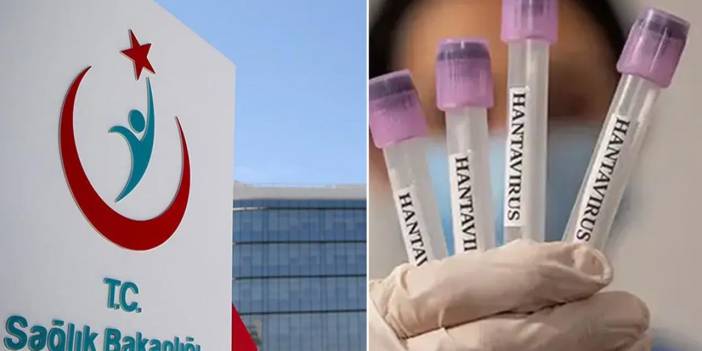 Dünya alarmda! Sağlık Bakanlığı'ndan "hantavirüs" açıklaması! Türkiye'de vaka var mı?