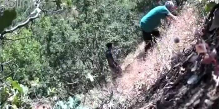 CHP'li başkan ve oğulu kenevir ekerken foto kapana yakalandı