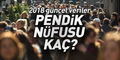 Pendik’in nüfusu kaç oldu? 2017 - 2018