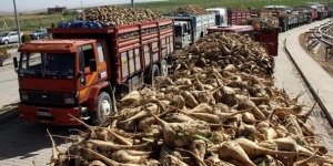 Hangi Şeker Fabrikaları Özelleştiriliyor