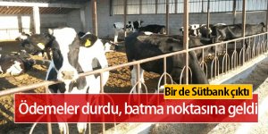 Çiftlik Bank'tan sonra Sütbank da Battı