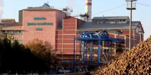 Özelleştirme Ne Demek, Ne Anlama Geliyor | Şeker Fabrikaları Neden Özelleştiriliyor