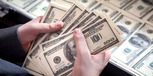 Merkez bankası faizleri artırarak dolara müdahale etti