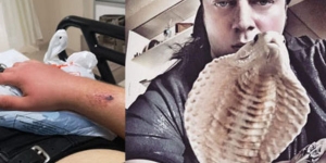 Aref'in son durumu nedir? Aref son sağlık durumu hakında bilgi