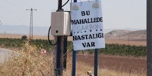 Ankara'da Şarbon alarmı! Bölge karantinaya alındı! Şarbon hastalığı nedir?