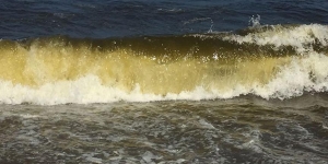 Karasu'da denize girilmiyor mu? Karasu'da denize girme yasağı ne zaman kalkacak?