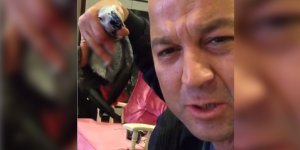 Master Chef Murat kuşa eziyet ediyor!