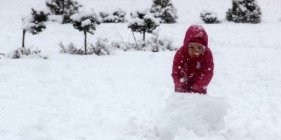 Bitlis'te yarın okullar tatil mi? 17 Ocak Perşembe günü okullar tatil olacak mı?