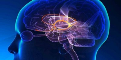 MS hastalığı nedir? Belirtileri nelerdir? Genetik midir?