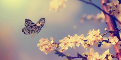 Nevruz nedir? Neden,niçin kutlanır? | 2019 Nevruz ne zaman?