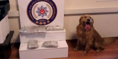 Uyuşturucudan gözaltına alındılar