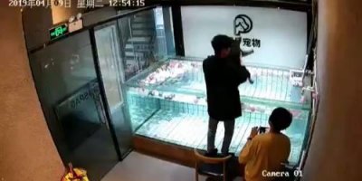 Köpeğinin yüzdüğünü sandı, boğulmasına neden oldu