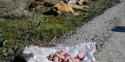 Yine Ankara yine aynı vahşet!