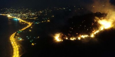 Giresun'da orman yangını!