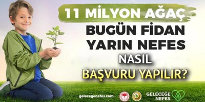 Bir fidan bağışı ne kadar? Fidan nasıl bağışlanır? Fidan seferberliği katılım