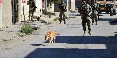 MSB: Şimdiye kadar 923 EYP ve 337 mayın etkisiz hale getirildi