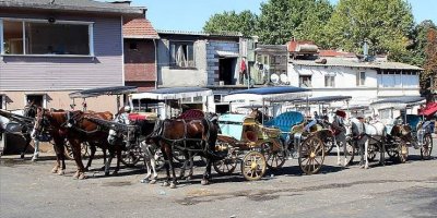 Faytoncuların kazancı dudak uçuklattı